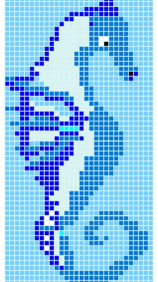 Q Sea Horse