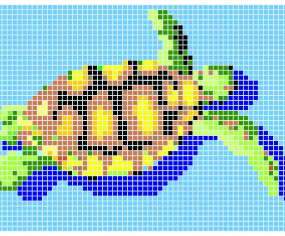 Q Turtle